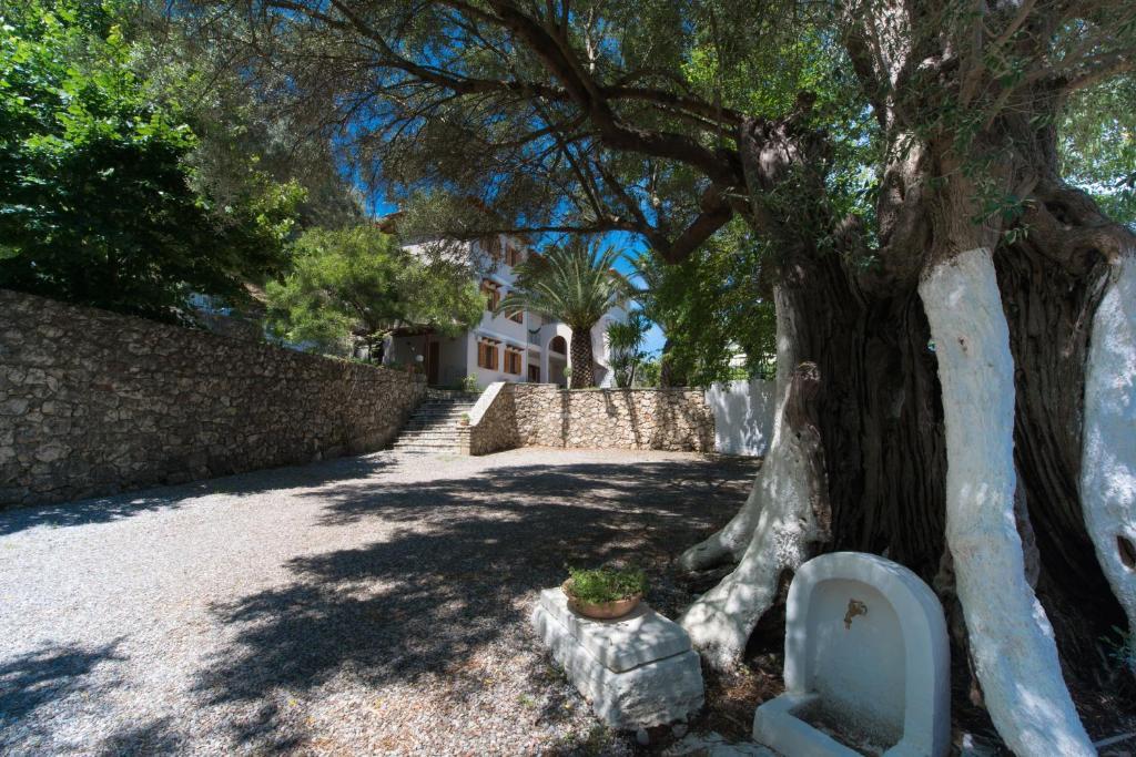 Ilios Studios Lefkada City Luaran gambar